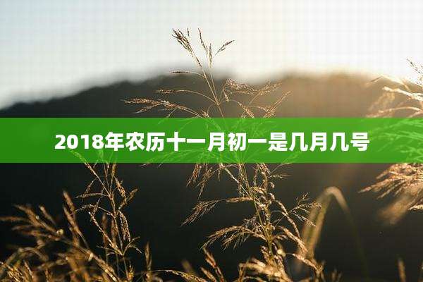 2018年农历十一月初一是几月几号