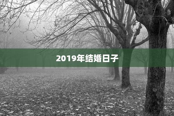 2019年结婚日子