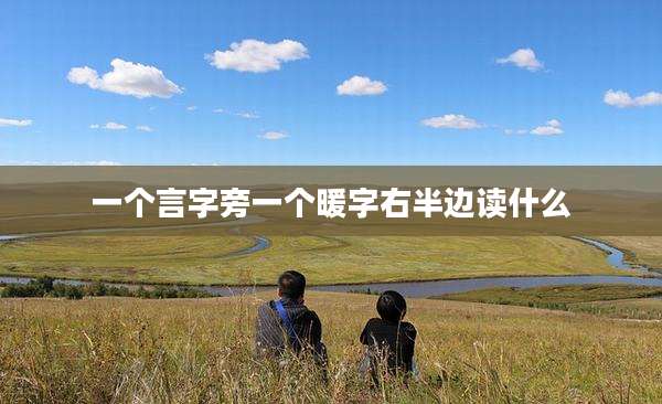 一个言字旁一个暖字右半边读什么