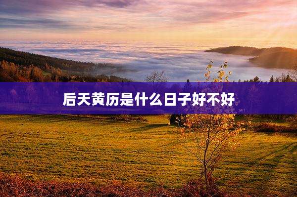 后天黄历是什么日子好不好