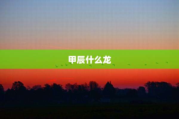 甲辰什么龙