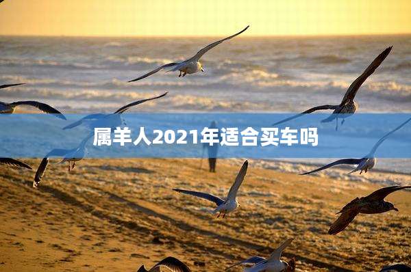 属羊人2021年适合买车吗