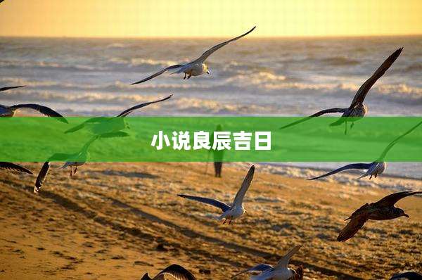 小说良辰吉日