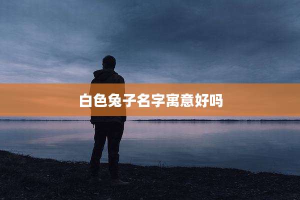 白色兔子名字寓意好吗