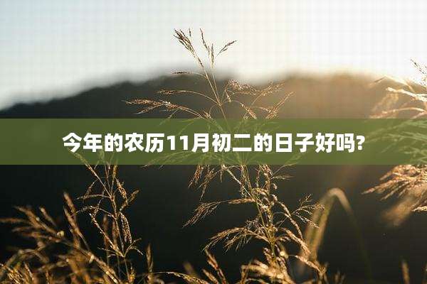 今年的农历11月初二的日子好吗?
