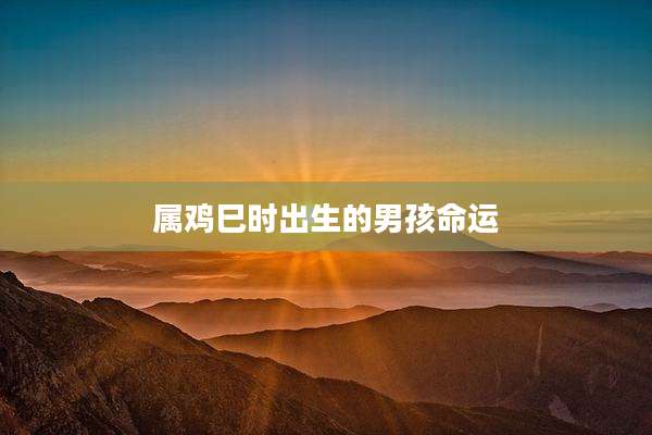属鸡巳时出生的男孩命运