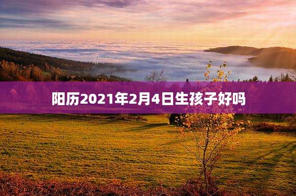 阳历2021年2月4日生孩子好吗