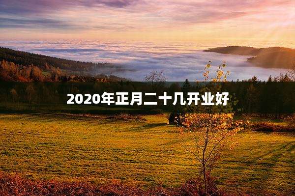 2020年正月二十几开业好
