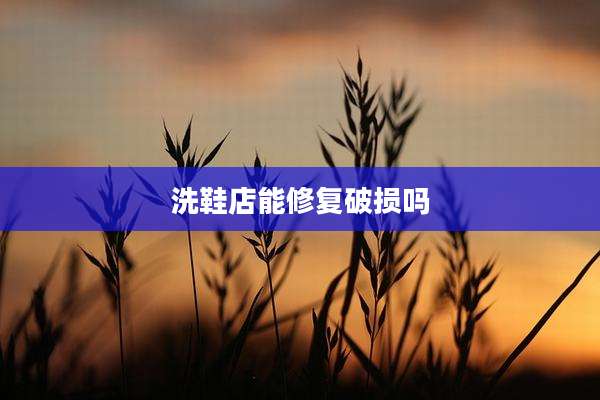 洗鞋店能修复破损吗