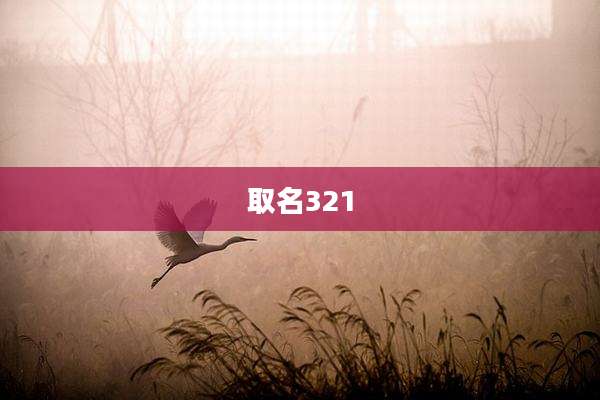 取名321