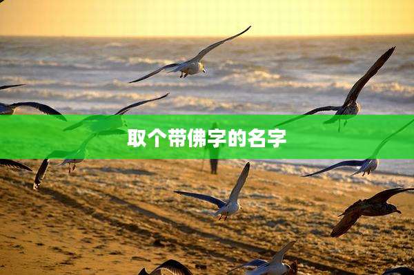 取个带佛字的名字