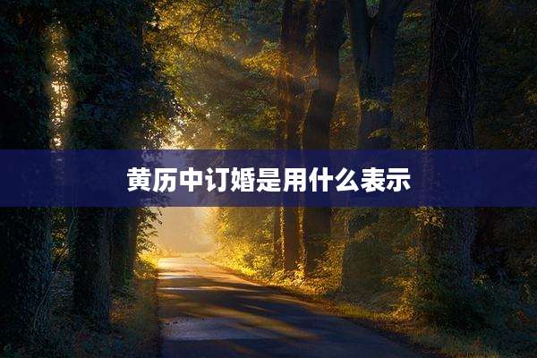 黄历中订婚是用什么表示