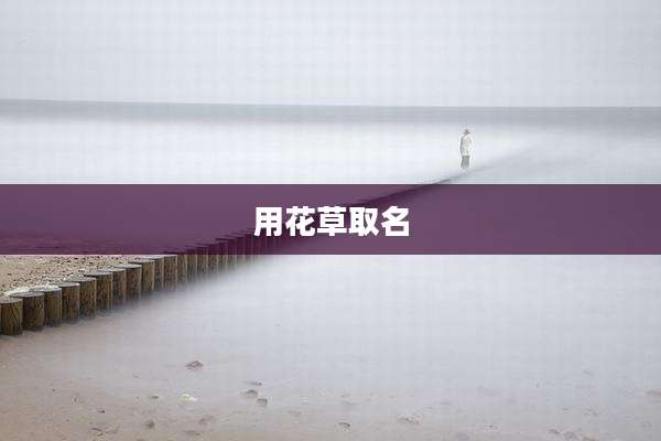 用花草取名