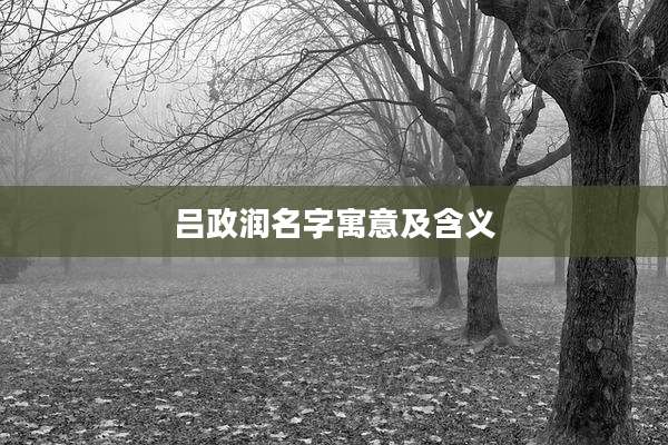 吕政润名字寓意及含义