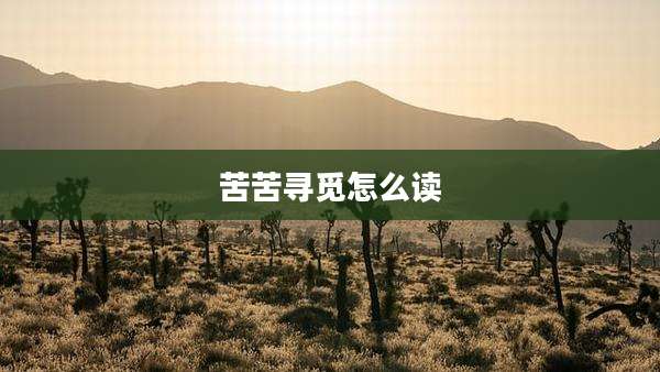 苦苦寻觅怎么读