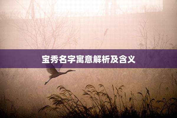 宝秀名字寓意解析及含义
