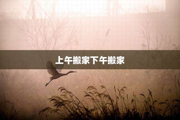 上午搬家下午搬家