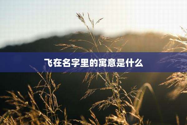 飞在名字里的寓意是什么