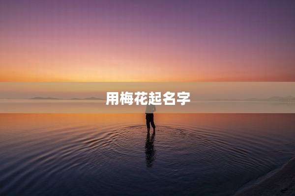 用梅花起名字