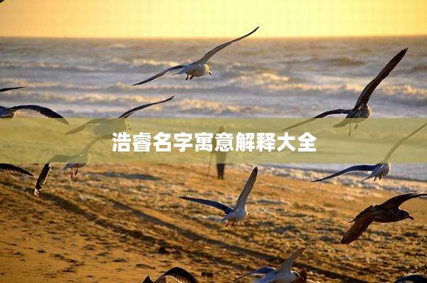 浩睿名字寓意解释大全