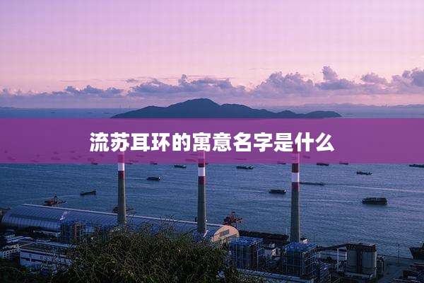 流苏耳环的寓意名字是什么