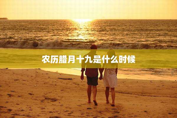 农历腊月十九是什么时候