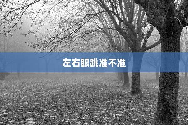 左右眼跳准不准