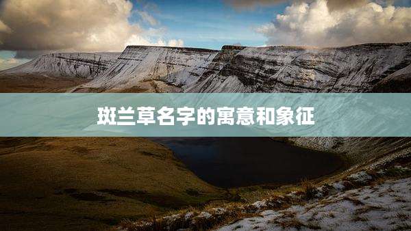 斑兰草名字的寓意和象征