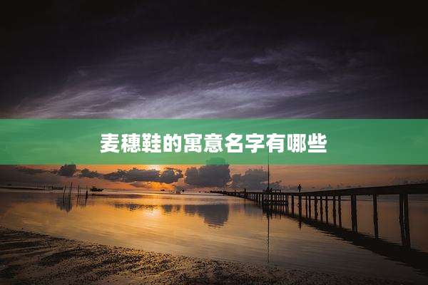 麦穗鞋的寓意名字有哪些