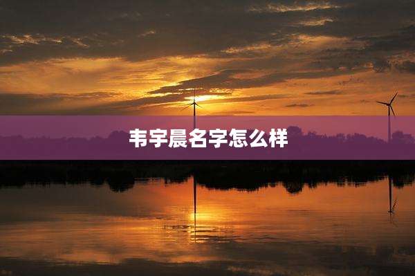 韦宇晨名字怎么样