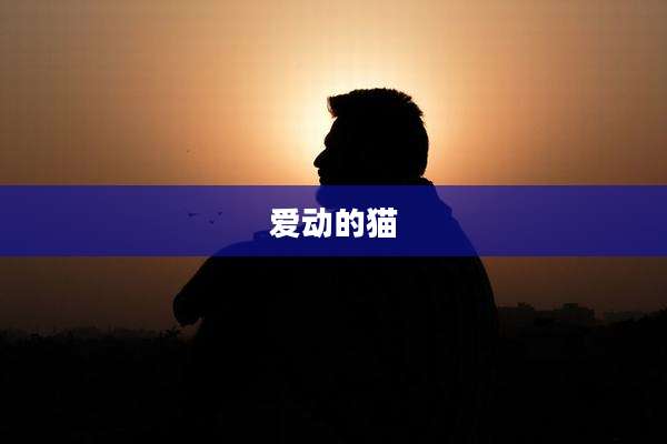 爱动的猫