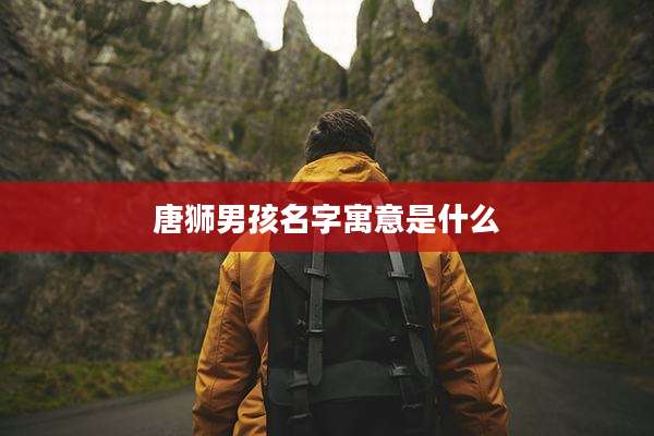 唐狮男孩名字寓意是什么