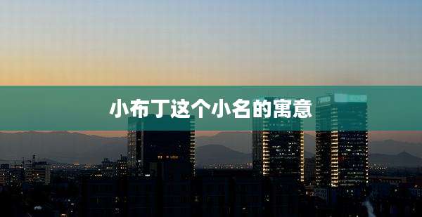 小布丁这个小名的寓意