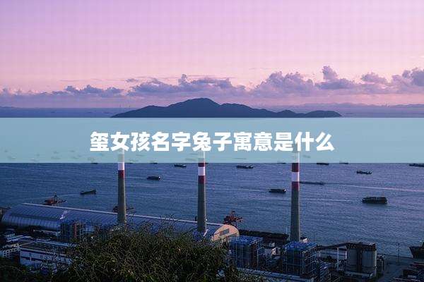 玺女孩名字兔子寓意是什么