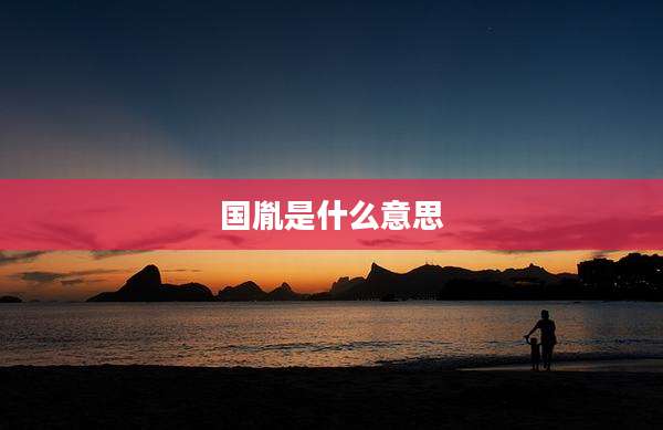 国胤是什么意思
