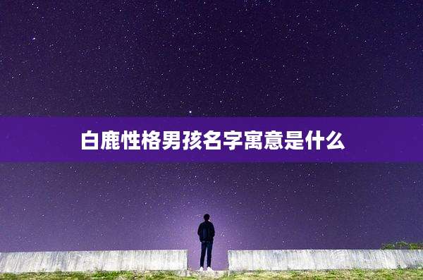白鹿性格男孩名字寓意是什么