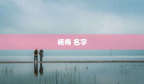 杨梅 名字