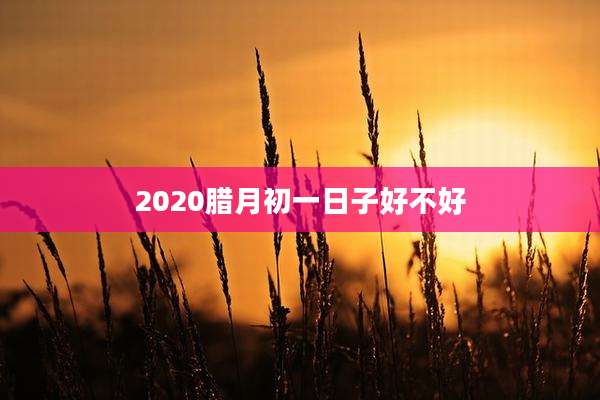 2020腊月初一日子好不好