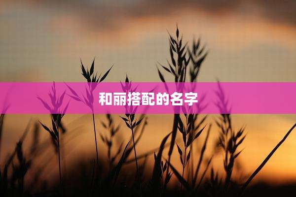 和丽搭配的名字