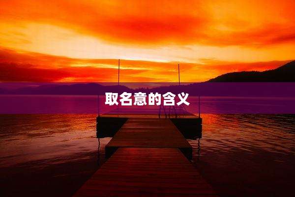 取名意的含义