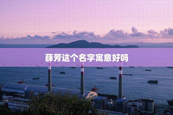 薛芳这个名字寓意好吗