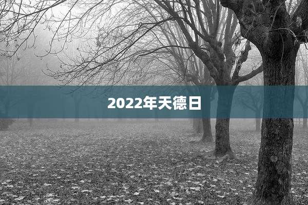 2022年天德日