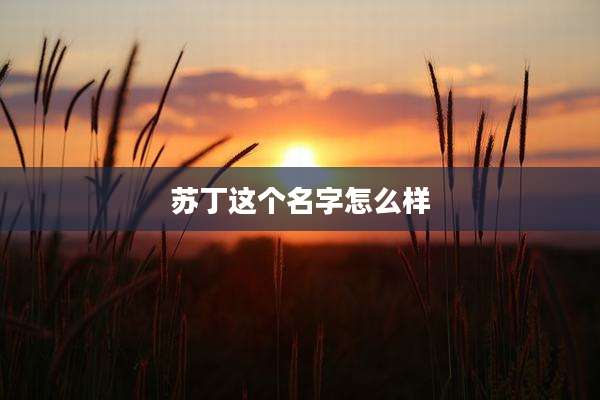 苏丁这个名字怎么样