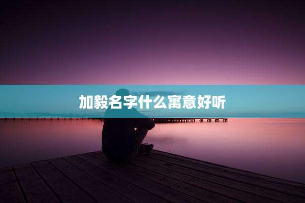 加毅名字什么寓意好听