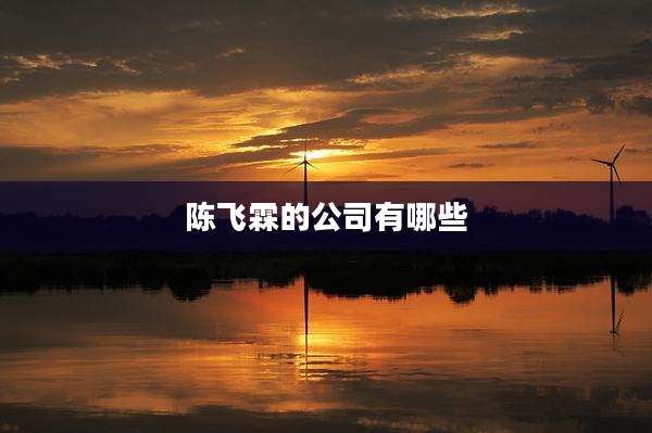 陈飞霖的公司有哪些