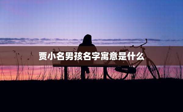 贾小名男孩名字寓意是什么