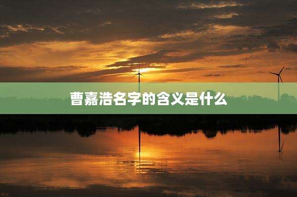 曹嘉浩名字的含义是什么