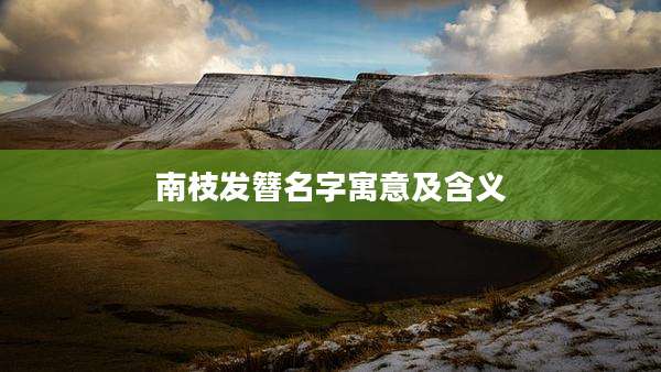 南枝发簪名字寓意及含义