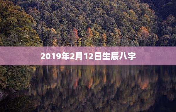 2019年2月12日生辰八字