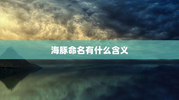海豚命名有什么含义